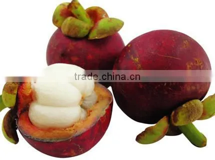 kieserite - Magnesium sulphate fertilizer for mangosteen MgO23%MIN China