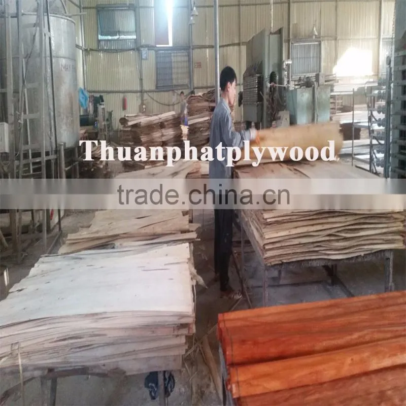 Vietnam Grade A Eucalyptus Core Veneer