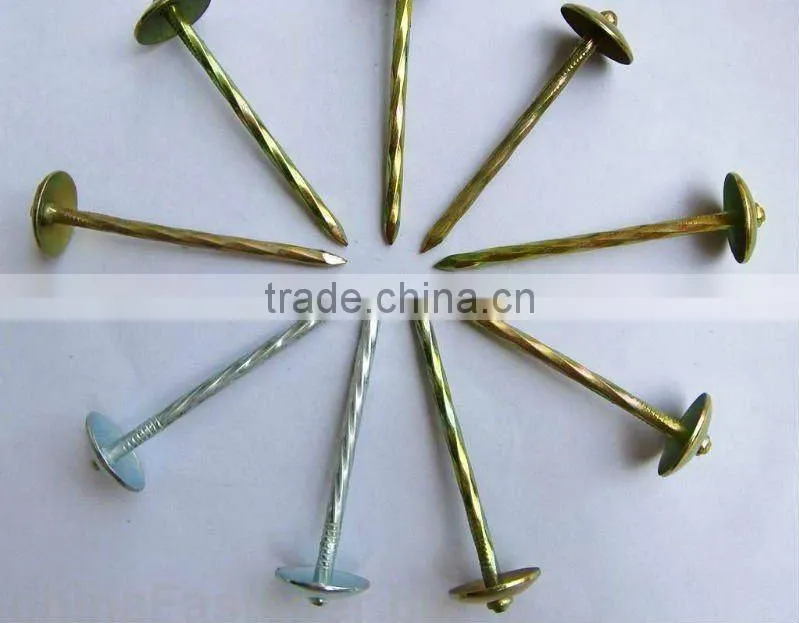 Nails roofing nails