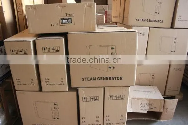 HARIYA 4-18KW Small Sauna Mini Electric Steam Generator for Sale