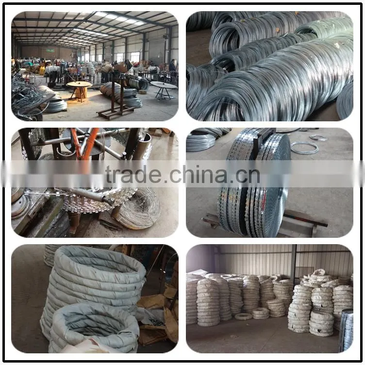 WEIHAO hot selling Standard Flat wrap and Concertina coil razor wire