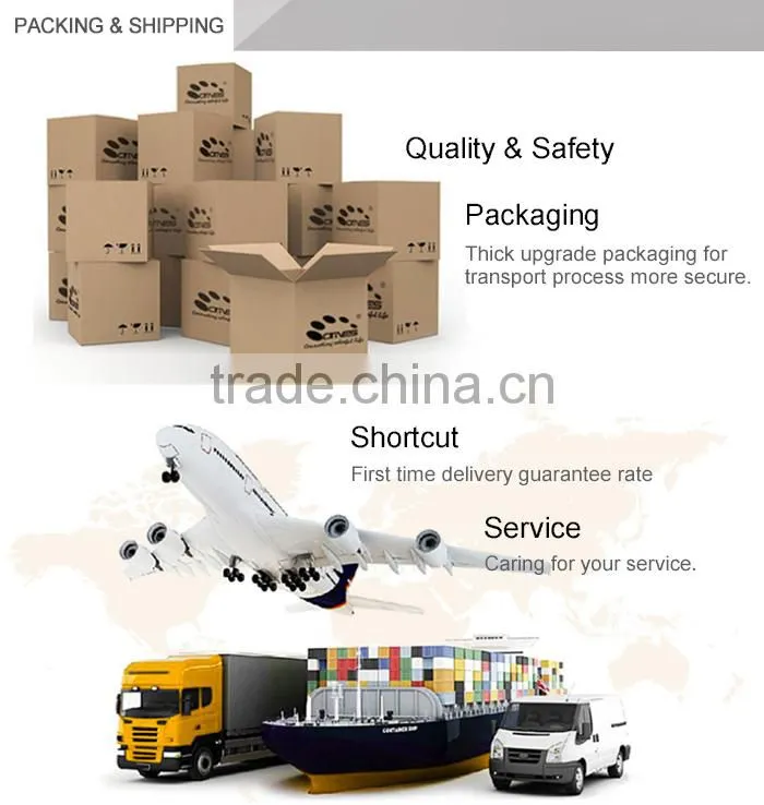 China wholesale high quality phosphorescent aluminate self-adhesive film for safety signs