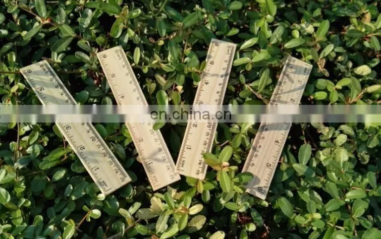 6" wooden ruler
