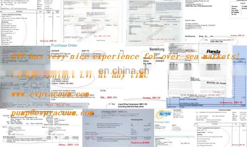 CL2001 heavy liquid ring vacuum pump SS water ring vacuum pumps