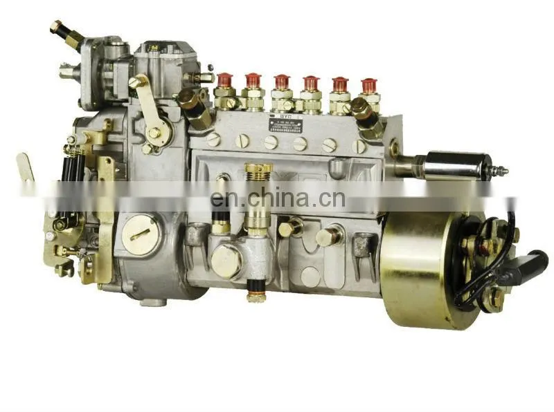 6110Z1A1 Engine Fuel Injection Pump 10402166024 /10 402 166 024 132kW CPE6AD105D312LS2118 Injection Pump