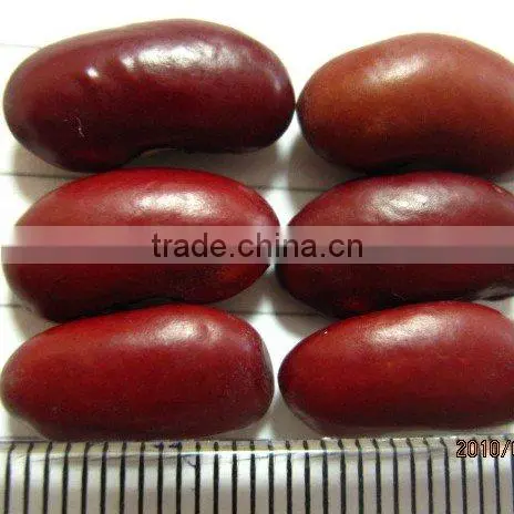 organic beans