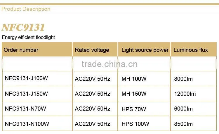 NFC9131 Energy Efficient Floodlight