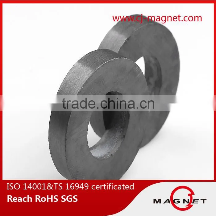 China Y20 Ferrite magnets for speakers