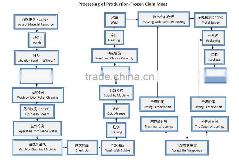 Good quality seafood frozen clam meat on sale