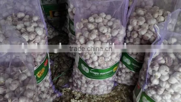 Red garlic with lowest price 2016