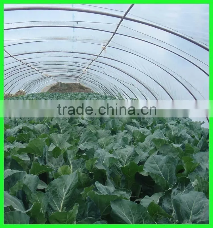 Suntex virgin PE protective anti-aging impervious greenhouse film,tunnel greenhouse roof covers seeding nursery warm house film