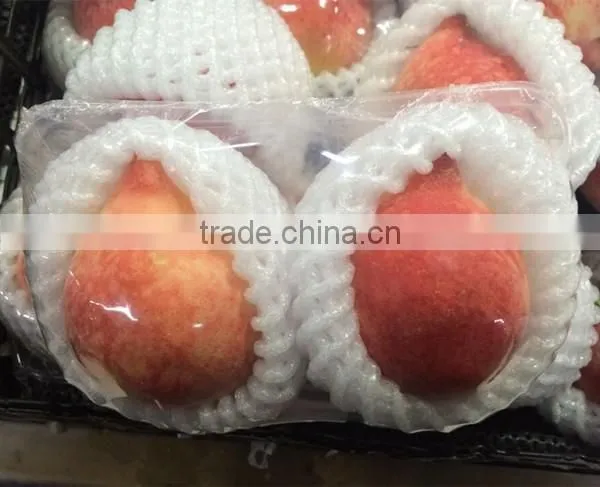 EPE foam sleeve net for fruit packaging