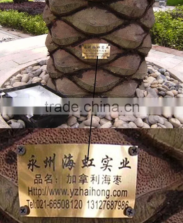 Artificial Canary date palm Tree