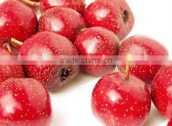 Chinese hawthorn powder