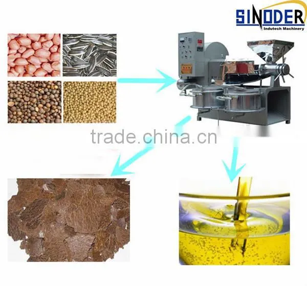 Supply home oil press machine