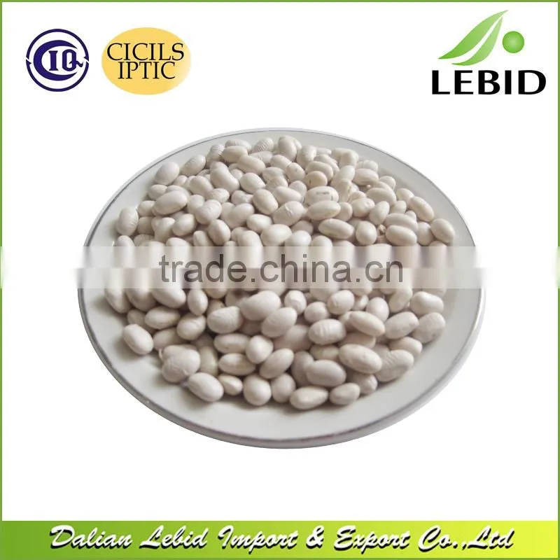 Low Admixture White Kidney Beans Japanese Type