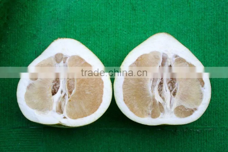 Customers buy sour fresh honey pomelo from China