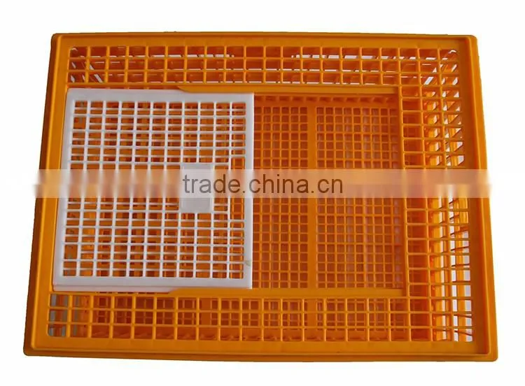 Poultry Plastic Chicken Transport Stackable Cage for Child Chicken