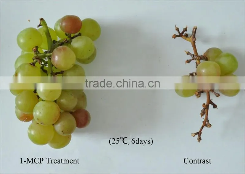 1-Methylcyclopropene slow down the ripening speed of fruits