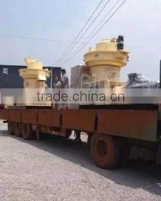 Palm wood pellet mill