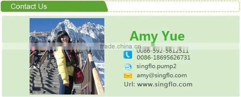 Singflo Urea Chemical AC 230V Small Electric Adblue transfer Pump