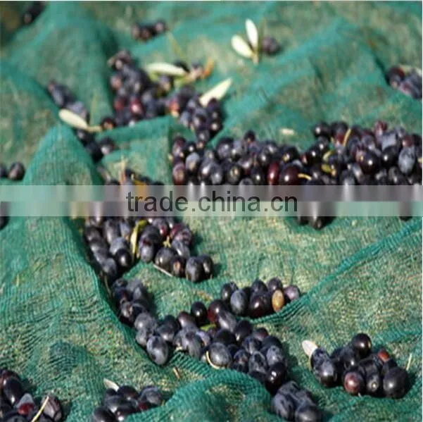 olive falling fruit harvesting nets