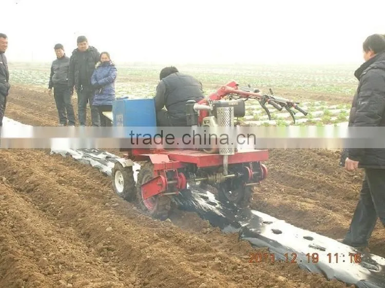 seedling tray for transplantation of delicate seedlings
