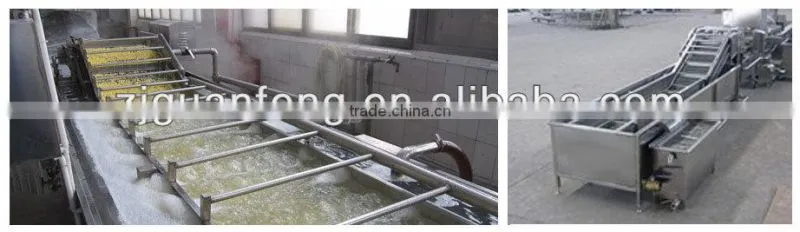 Cabbage washing machine and automatic cleaning washing for food