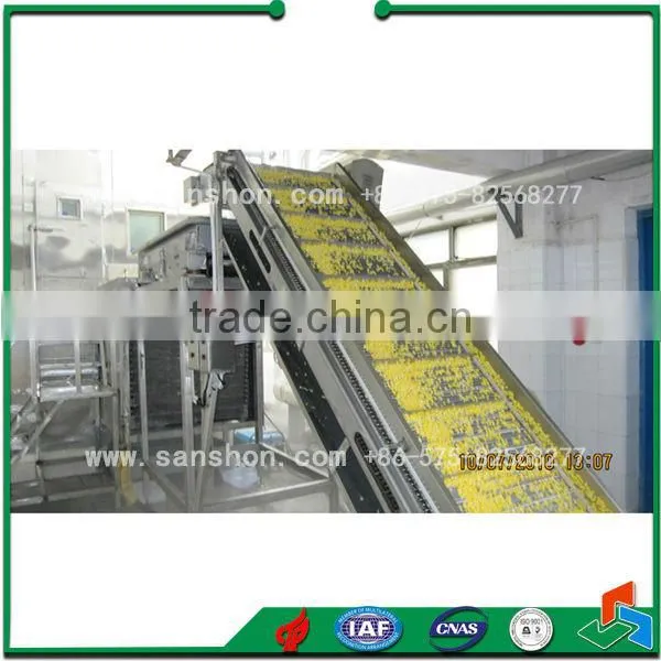 Advanced Sanshon LSZ Model Fluidized Iqf Fruit, Vegetable and Seafood Quick Freezing Tunnel