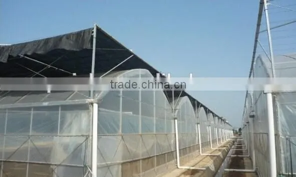 Agricultural cultivation plastic greenhouse flowers