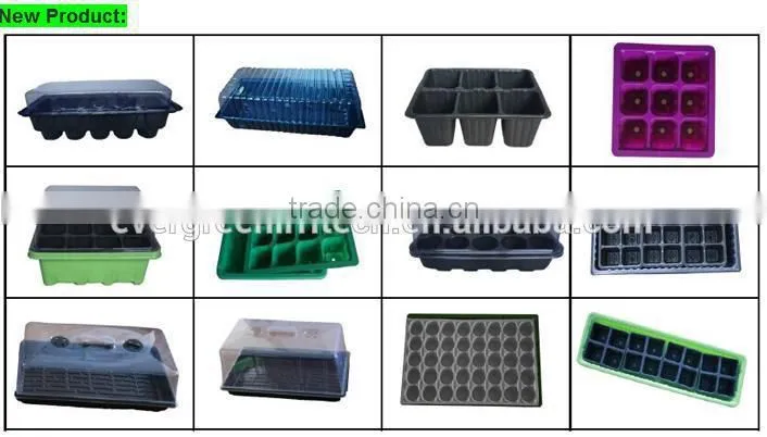 8417 512cells seed tray for planting