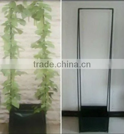 Garden growing spiral stake