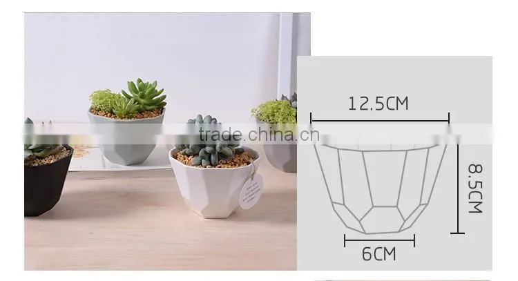 2016 new design irregular ceramic succulent planter