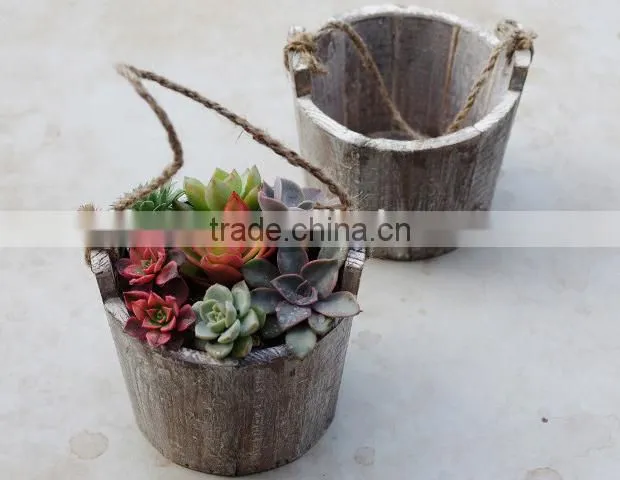 Succulent plant small wood hanging planter