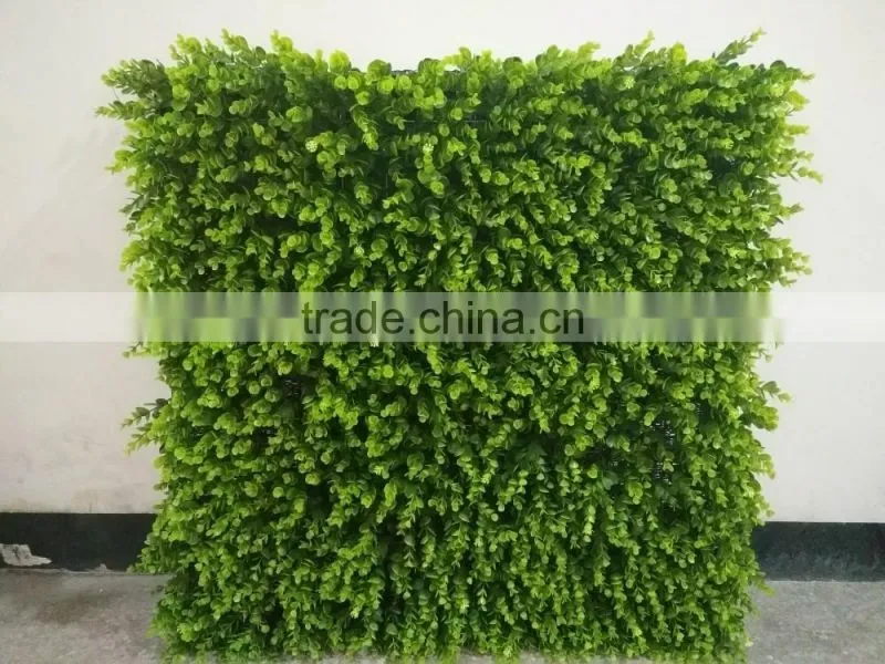 Fashion green back wall design