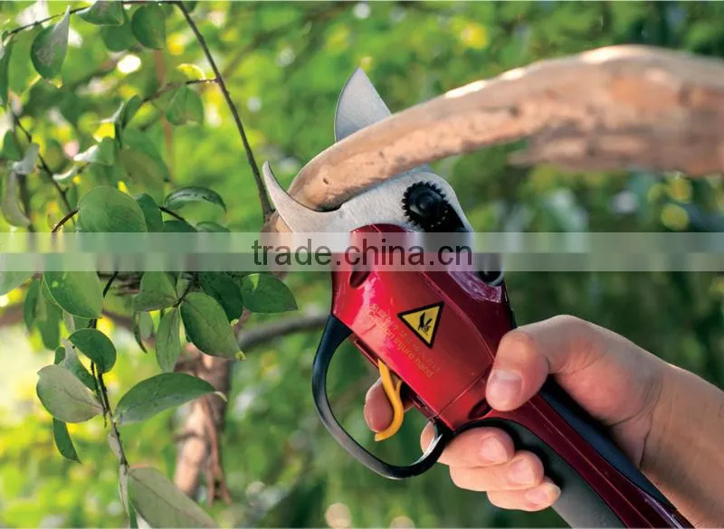 gardening scissors