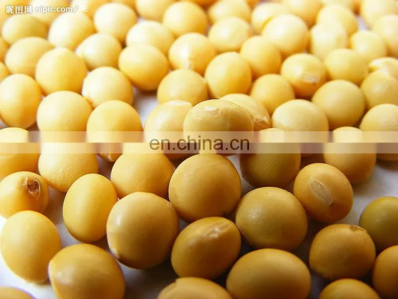 Industrial soya yogurt processing plant