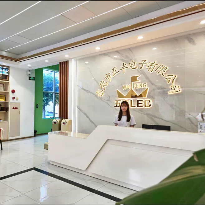 Dongguan WuFeng Electronics Co., Ltd. company overview - view 1