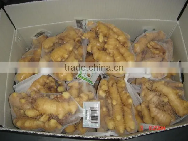 fresh ginger