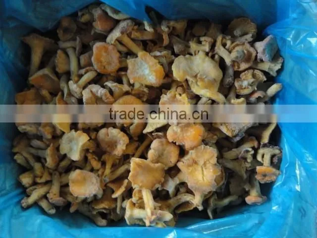 frozen style Chinese Chantarelle mushroom