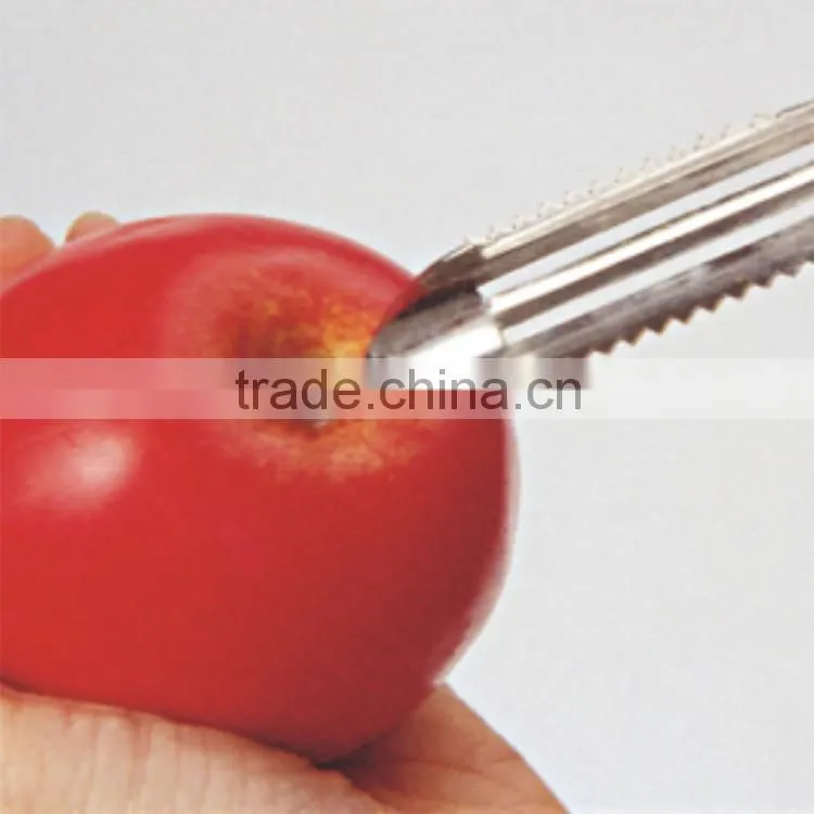 ABS+S/S 19*3 Kitchen tools multifunctional fruit&vegetable peeler/stainless steel fish scale scraper