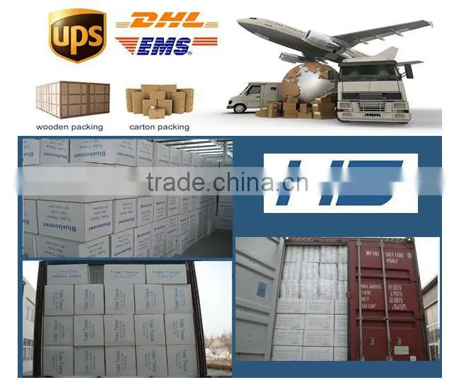 Wholesale Price Virgin Wood Pulp Printed Dinner Disposable Paper Napkin