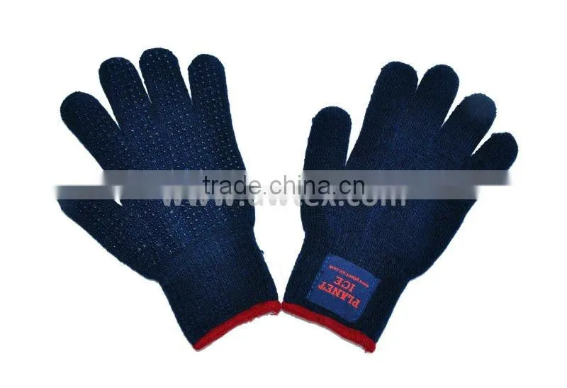 Winter Iphone touch gloves