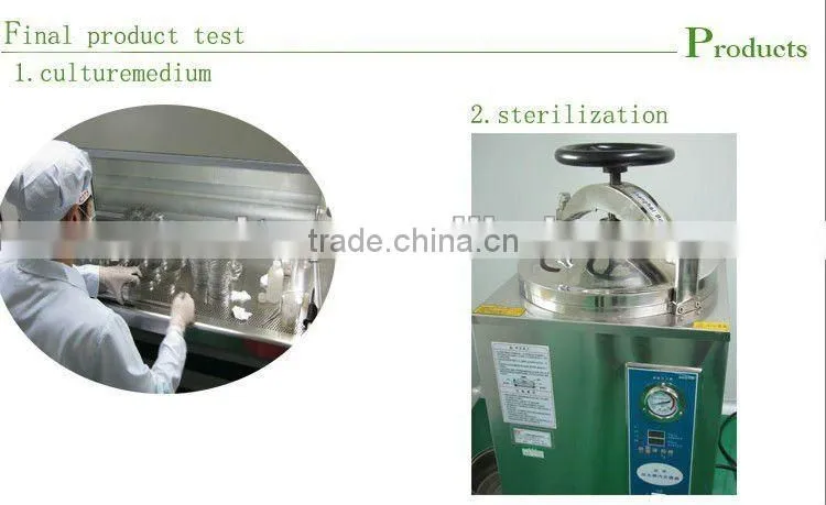 Korean liquorice cosmetic products whitening skincare