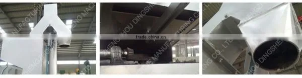 Hot sale in Africa baobab seeds oil press machine from Dingsheng