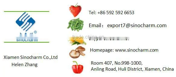 IQF Sliced Champignon Mushroom