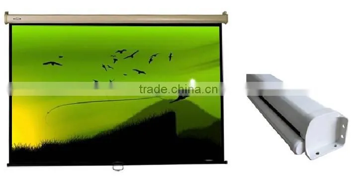 Scraping white plastic Manual screen wall mount touch projection screen