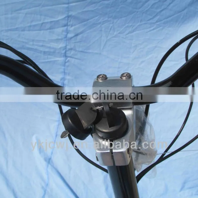 electric motor controller 1600W/evo scooter/2 wheel electric scooter
