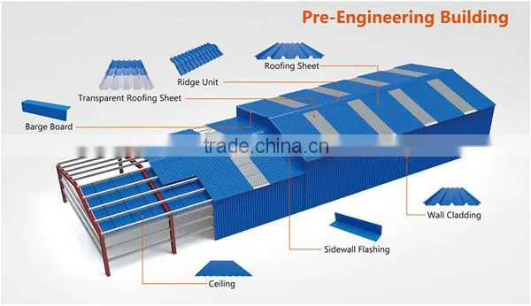 clear plastic roof tile skylight
