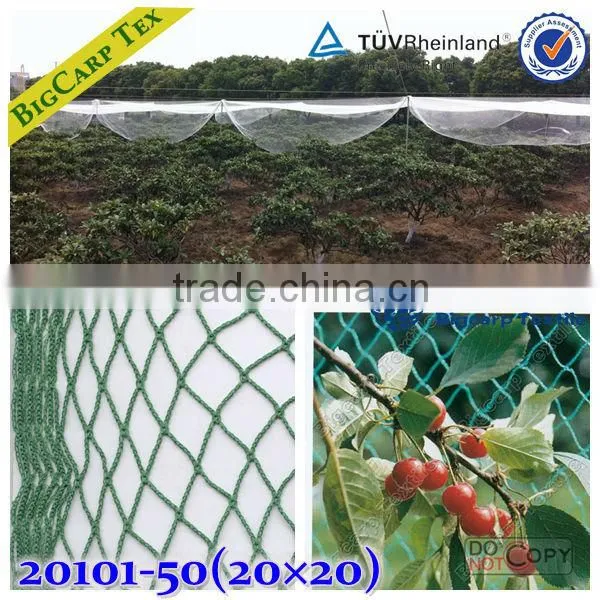 Orchard knotted mesh vineyard net / 20102-50
